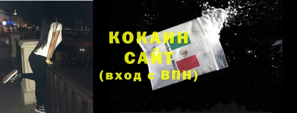 шишки Лагань