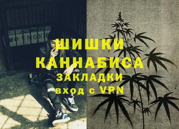 шишки Лагань