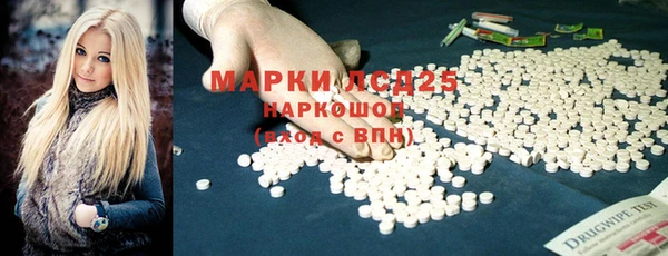 шишки Лагань