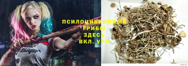 spice Ладушкин
