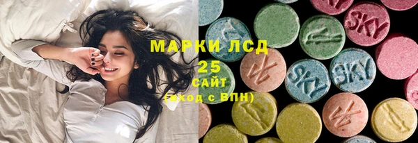 ГАЛЛЮЦИНОГЕННЫЕ ГРИБЫ Лабытнанги