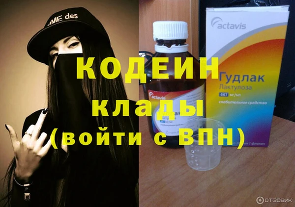 шишки Лагань