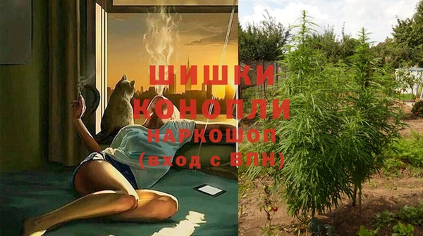 mdpv Тавда