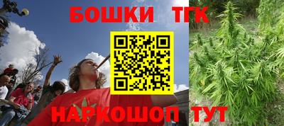 спиды Дубна