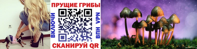 Галлюциногенные грибы прущие грибы Тутаев